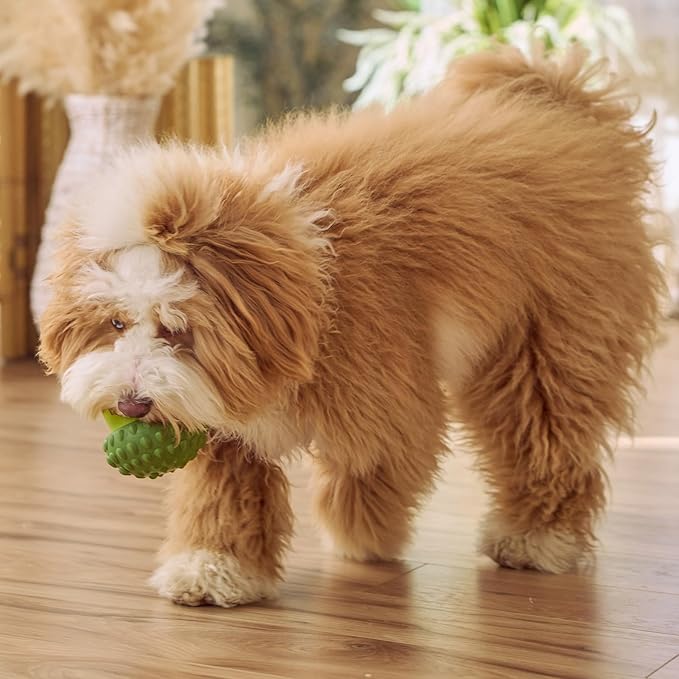 SPOT Treat Tumbler Broccoli – Freezable & Fillable Treat Dispensing Dog Toy for Small & Medium Dogs, Silicone, Easy to Clean, Interactive, Holds Small Kibble & Soft Snacks, 4.38 in