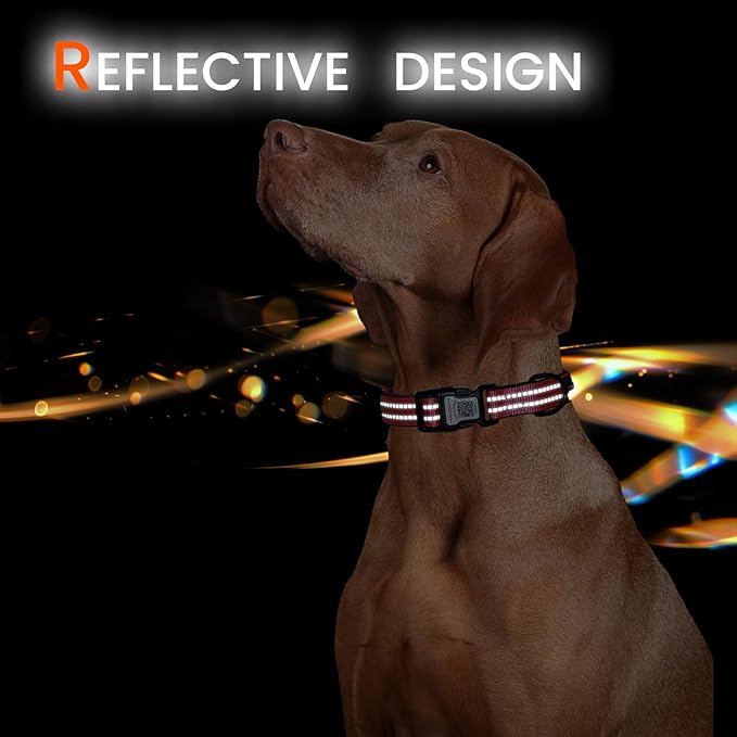 Reflective Dog Collar with QR Code Tag, Personalized Dog Collar, Safety Night Visibility, Anti-Loss Function (Rose Red, Large)