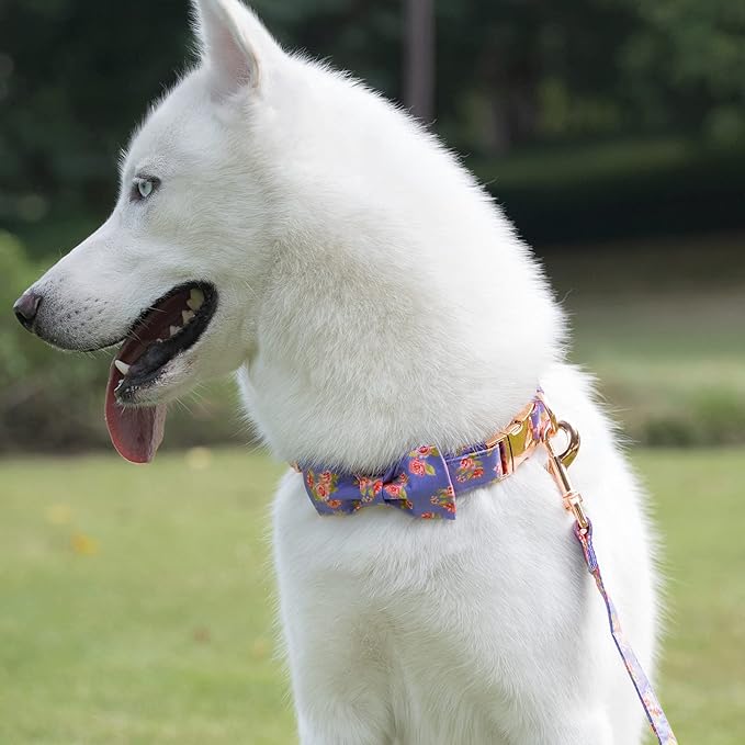 Tunkoo Dog Collar Elegant Bow Tie Unique Style Super Soft Comfy Adjustable Cotton Collar with Premium Metal Buckle, for Puppy Small Medium Large Pet Supplies（Purple Fill，M）