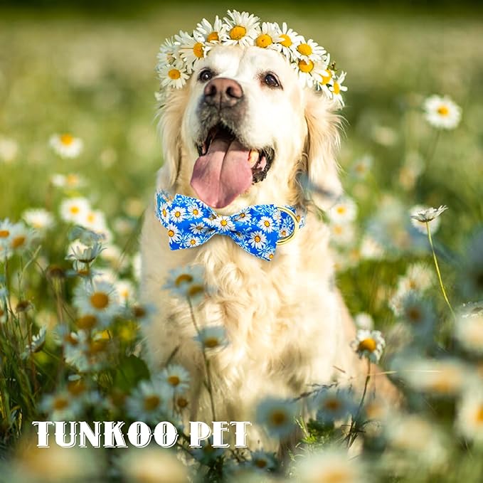 Tunkoo Blue Daisy Dog Collar with Cute Flower Bow Tie, Adjustable Premium Cotton Collar Durable Metal Buckle for Small Medium Large Boys Girls Dogs, S