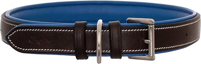 Exion Geniun Leather Dog Collar Designer Stitched Soft Leather Padded- Suitable for Small Medium Large X-Large Dogs for Walking Running- Havana with Blue Padding
