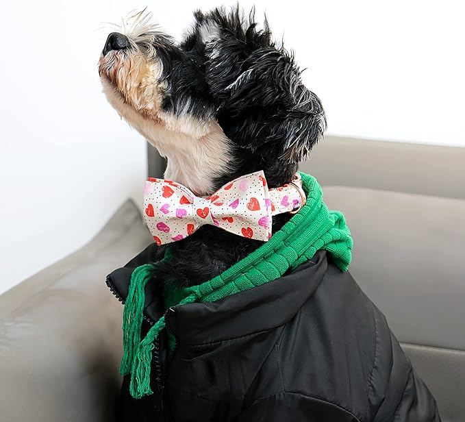Lionet Paws Valentines Day Dog Collar with Bowtie, Dog Bowtie Collar with Metal Buckle for Dogs and Cats, Adjustable Comfortable Dog Collar Girl Boy Gift，XXS, Neck 7-11 in