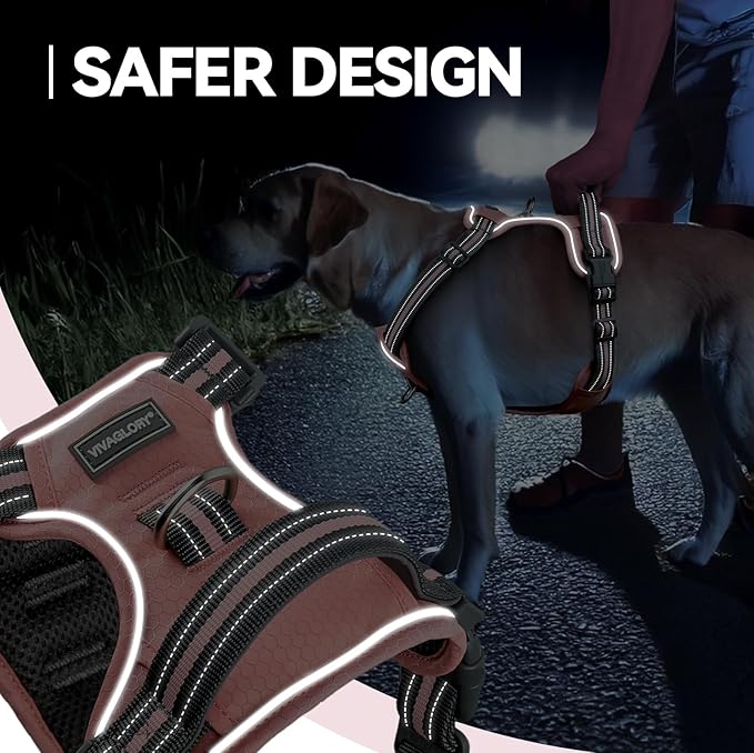 VIVAGLORY Dog Harness Easewalk No Pull Dog Harness with Handle Front Clip & Back Clip for Training Walking Lifting, No Pull Adjustable Easy On Padded Comfortable for Pet, S, Sakura Pink - Patterned