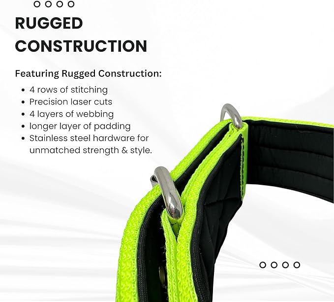 SparkDog Collars Working Dog Collar - 2" 4ply Padded Dog Collar Heavy Duty Stainless Steel Tactical Seatbelt Wide Buckle Collar (Lime 2.0, 16-21" Large)
