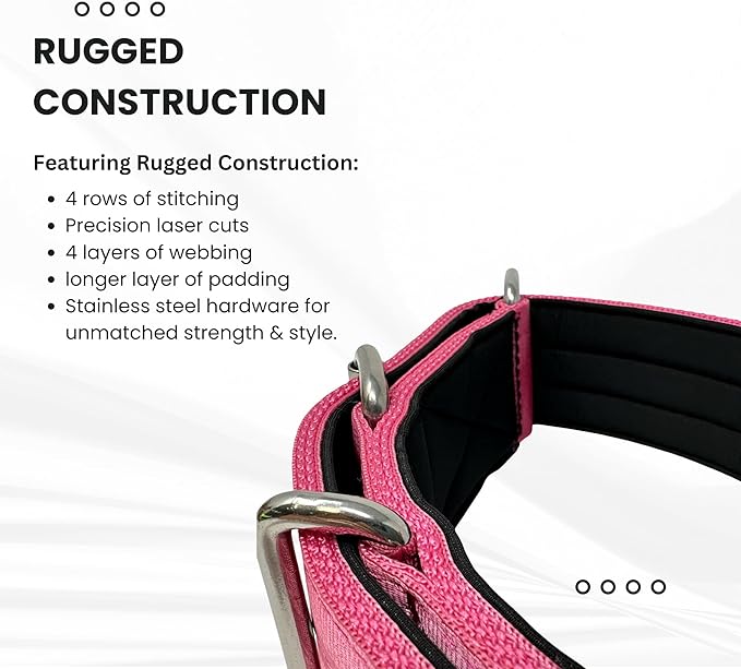 SparkDog Collars Working Dog Collar - 2" 4ply Padded Dog Collar Heavy Duty Stainless Steel Tactical Seatbelt Wide Buckle Collar (Pink 2.0, 16-21" Large)