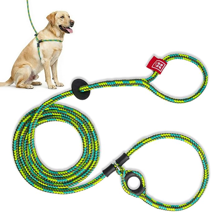 Harness Lead No Pull Dog Harness and Leash Set, Anti Pull Dog Harness, One-Piece Cushioned Rope Safely Prevents Escaping and Pulling *New Insert is Removable (Medium/Large, Rainforest)