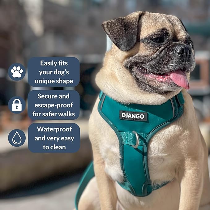 DJANGO Tahoe No Pull Dog Harness – Escape-Proof Dog Harness for Large & XL Dogs with Front & Back Clips for Everyday Use – Adjustable, Padded, Reflective, Secure, Easy On/Off – Dark Teal Green, XXL