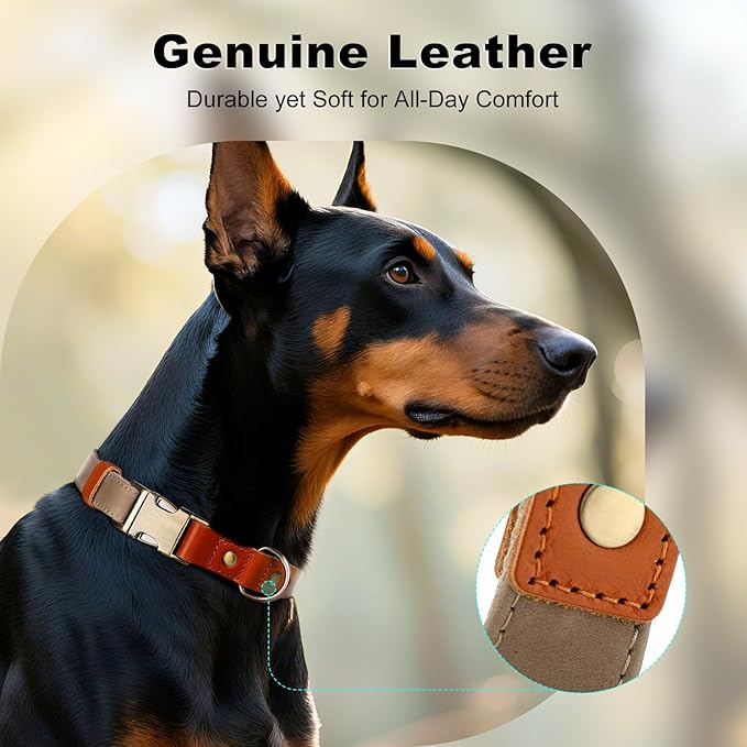 Plutus Pet Genuine Leather & Hemp Dog Collar – Adjustable Heavy Duty Pet Collar with Quick Release Metal Buckle, Soft & Stylish for Puppy and Small, Medium, Large Dogs (Ash Brown, XS)