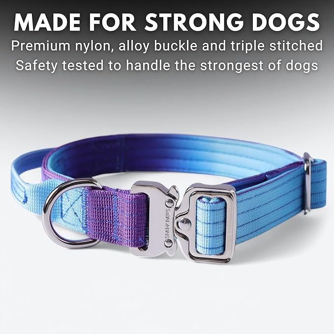 Spark Paws Tactical Dog Collar - Heavy Duty, Premium Quality, Thick and Durable for Large and Medium Dogs - 90's Retro - XS - 1"