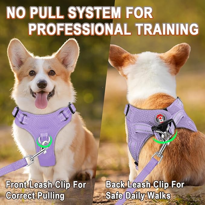 Dog Harness Step in Dog Vest Harness, Reflective Adjustable Puppy No Pull Harness Breathable Soft for Small and Medium Dogs Cats, Violet Purple, XS