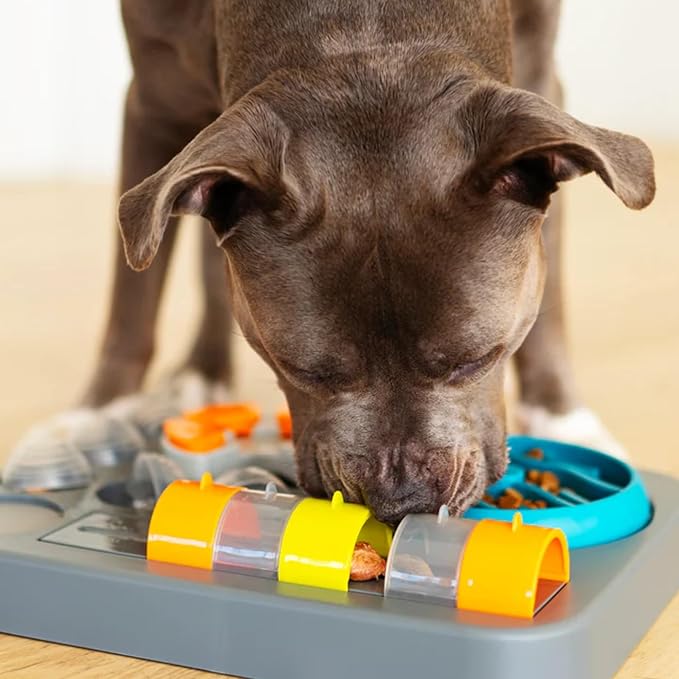 Messy Mutts Flip’n Slide Puzzler | Large | 16” x 13” Expert Level Puzzle Feeder for Dogs | Interactive Slow Feeder Puzzle for Food/Treats | Enrichment Dog Toy