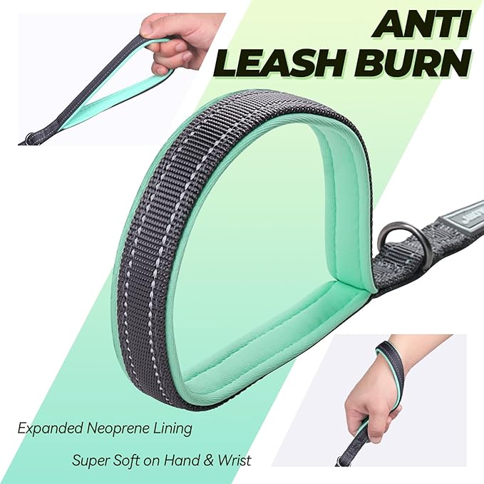 VIVAGLORY Twingrip Dog Leash, Double Handle Dog Leash for Training & Walking with Traffic Handle & 2 Loop, Traffic Control Reflective Heavy Duty for Puppy Pet, 4ft x 1/2in, Grey