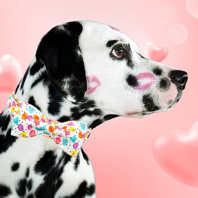 Elegant little tail Valentine's Dog Collar, Heart Dog Collar Cute Girl or Boy Puppy Collars Bowtie Pet Gift Adjustable Pet Collars for Small Dogs