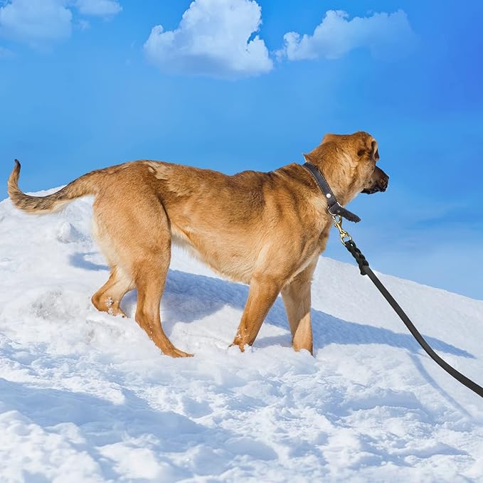 Genuine Leather Dog Leash - Heavy Duty Dog Training Leashes for Large Breed Dogs and Medium Dogs - 4FT / 5FT / 5.6FT Long with Color Black and Brown