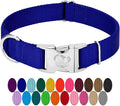Country Brook Petz - Premium Nylon Dog Collar with Metal Buckle for Small Medium Large Breeds - 10+ Cool Colors (Medium, 3/4 Inch, Bright Royal Blue)