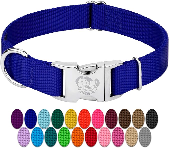 Country Brook Petz - Premium Nylon Dog Collar with Metal Buckle for Small Medium Large Breeds - 10+ Cool Colors (Small, 3/4 Inch, Bright Royal Blue)