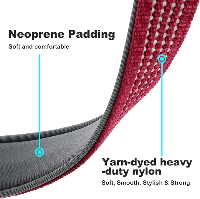 Plutus Pet Reflective Dog Collar with Aviation Aluminum Buckle, Neoprene Padded for Comfort, Lightweight, Heavy Duty Nylon Collar for Puppy Small Medium Large Dogs (Burgundy Red, L)