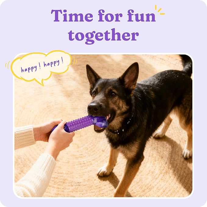 Dog Toys for Aggressive Chewers: Indestructible Dog Chew Toys for Medium & Large Dogs, Tough Bacon Flavored Nylon Bone to Keeps Them Busy