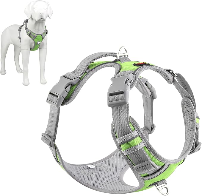 Plutus Pet No Pull Dog Harness, Release at Neck, Reflective Adjustable Dog Vest Harness, Easy Control Handle for Walking, for Small Medium Large Dogs, Green, M