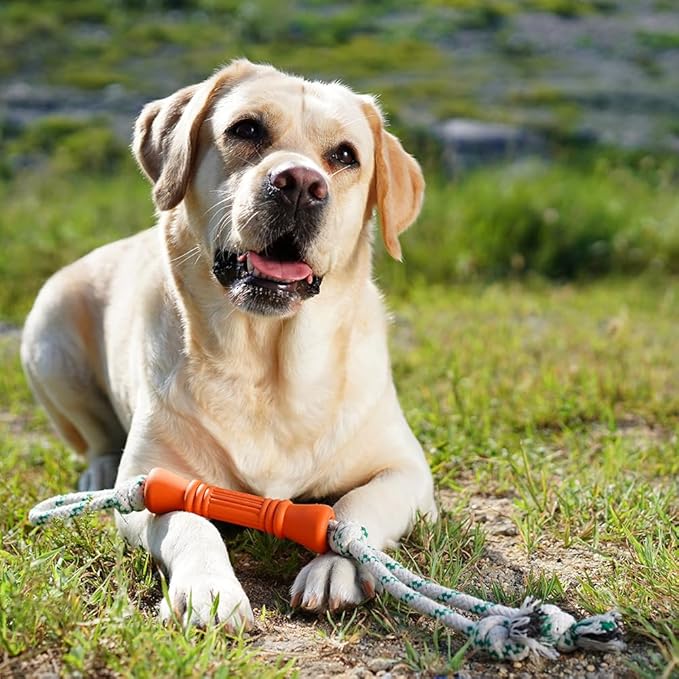 Green Sheep Natural Rubber Rope Dog Toy, Puppy Chew Toys for Teething, Tug of War Dog Rope with Recycle Cotton, Small to Large Dogs, Orange