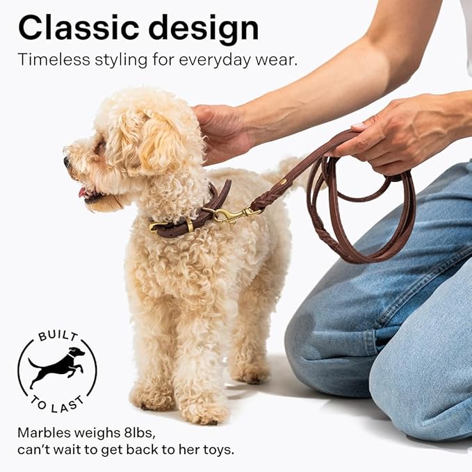Scout Supply Classic Leather Dog Leash | Strong Heavy Duty Thick Full Grain Leather | Waterproof & Rust-Proof Brass Hardware (Dark Brown, L: 4.5 ft x 2/3 in)