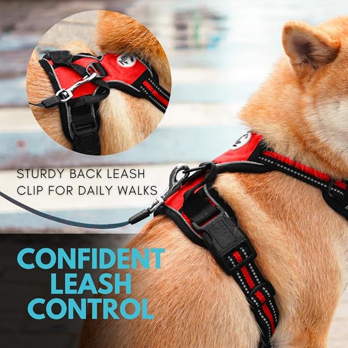 Ziggy Pet Dog Harness Adjustable Nylon Mesh Vest with Leash Clips (Red, Small)