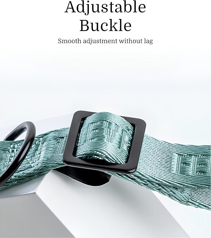 2026 New Edition, Fei & Eve Classic Dog Collar - Quick Release Metal Buckles | Fur-Safe | Premium 210D Nylon | 450LB Escape-Proof | Adjustable Fit | Medium (Glacier Green)