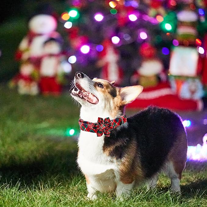 Elegant Little Tail Dog Collar with Red Plaid Christmas Pattern and Flower for Small Dogs