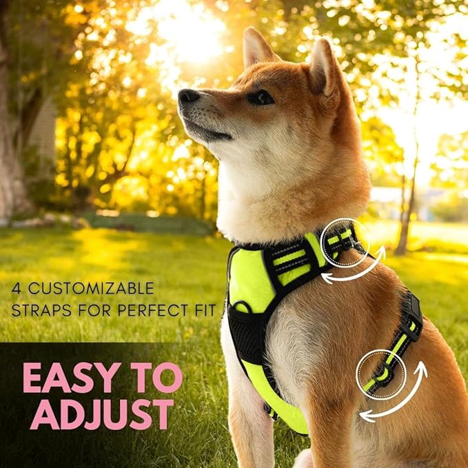 Ziggy Pet Dog Harness Adjustable Nylon Mesh Vest with Leash Clips (Green, Small)