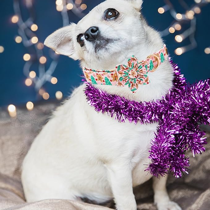 Elegant Little Tail Dog Collar with Flower, Christmas Dog Collar for Small Dogs