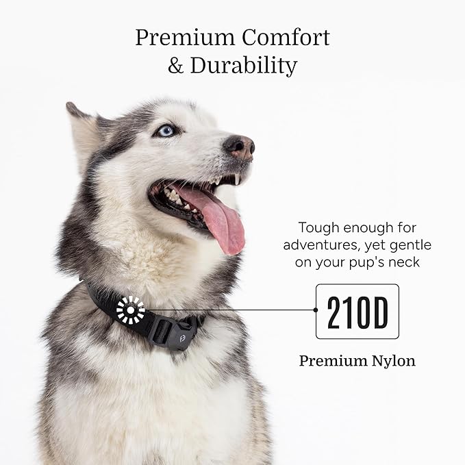 2026 New Edition, Fei & Eve MagEase Dog Collar - Patented Magnetic Buckles | Fur-Safe | Premium 210D Nylon | 450LB Escape-Proof | Adjustable Fit | Large (Black)