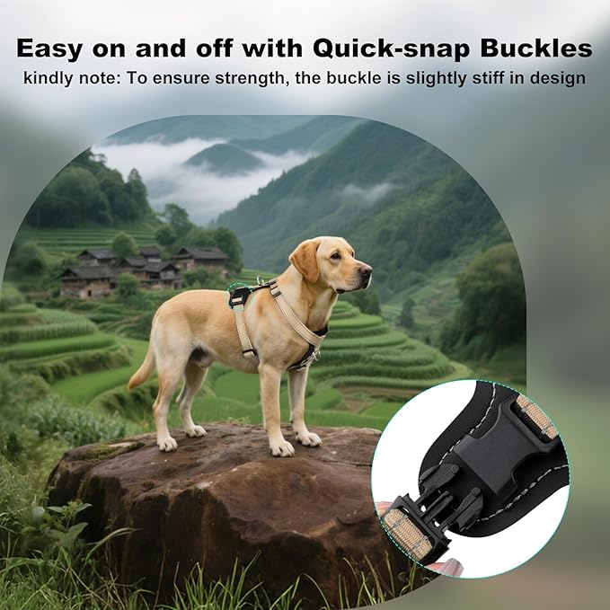 Plutus Pet Adjustable No Pull Dog Harness with Leather Accents, Heavy Duty Reflective Nylon Vest for Training, Hiking, Easy Walk Harness for Small, Medium, Large Dogs (Beige, S)