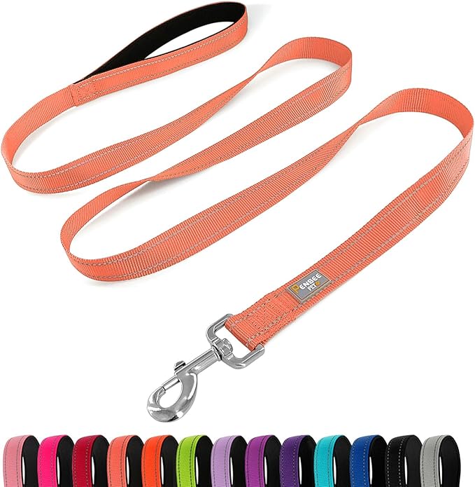 Reflective Dog Leash 6 FT Padded Handle Nylon Dogs Leashes for Medium Dogs Coral