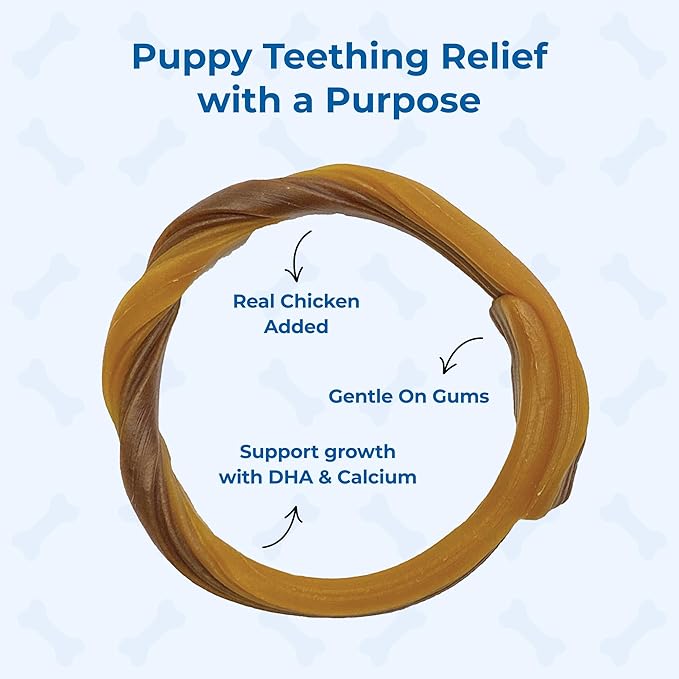 N-Bone Puppy Teething Rings Taste of Texas Burnt Ends Flavor 3 Count