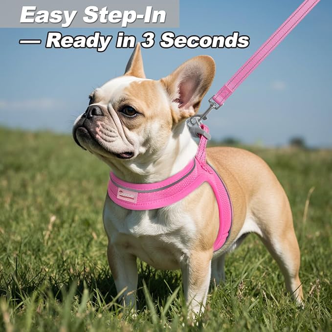 Dog Harness and Leash Set,Step in Small Sized Dog Harness,Soft Mesh,No-Chock,Reflective Adjustable,Secure with Hook & Loop Fastener,Puppy Vest for Small,Medium Dogs(Pink,M)