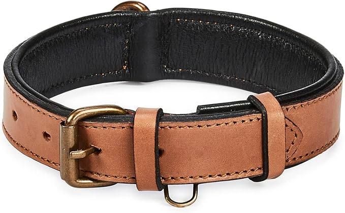 Real Leather Dog Collar Padded Soft Interiors with Premium Vintage Look Handcrafted Heavy Duty with Tag Ring for Small Medium and Large Pets (Medium (1.25" Wide for 13.5" - 17.5" Neck), Cognac)