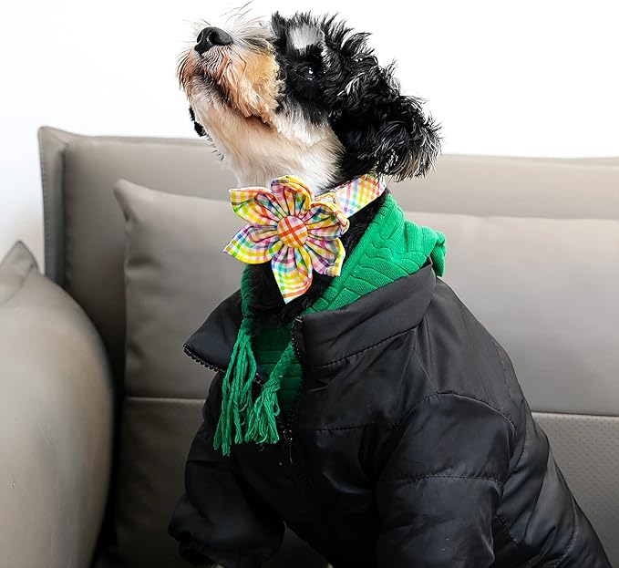 Lionet Paws Easter Dog Collar with Flower - Colorful Cute Cotton Flower Dog Collar with Metal Buckle for Large Dog Girl, XL, Neck 16-26in