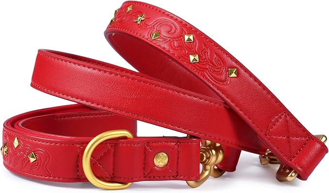Blueberry Pet Premium Embossed Red Glam Microfiber Leather Dog Leash with Gold Studs