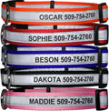 GoTags Personalized Reflective Dog Collars, Custom Engraved with Name and Phone Number, Adjustable Dog Collar with Quick Release Buckle, 3 Sizes for Puppy and Dogs, Small, Medium and Large