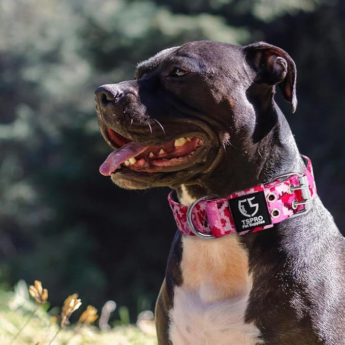 TSPRO Tactical Dog Collar with Metal Buckle & Patch, 1.5 Inch Wide, Adjustable, Durable Thick Collar for Medium to Large Dogs (Camo Cyan)