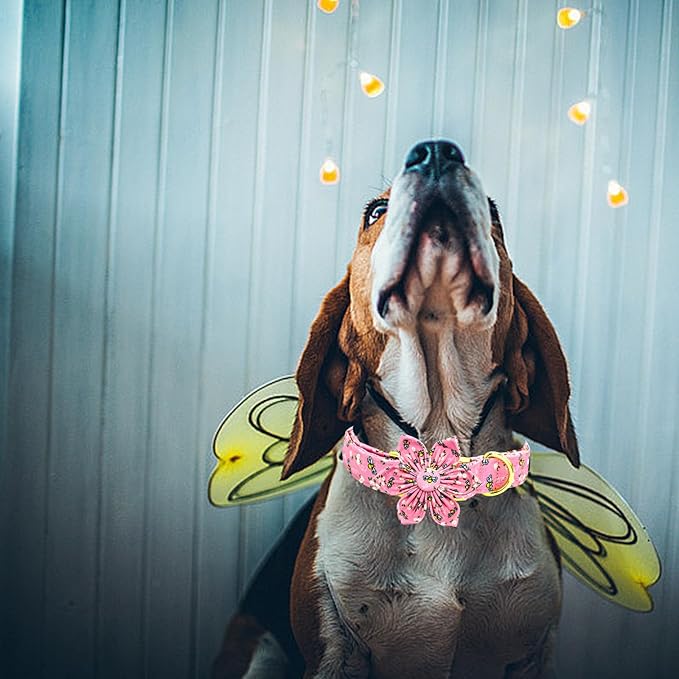 Elegant little tail Dog Collar, Spring Dog Collar with Flower Cute Bees Print Cotton Soft Female Male Pet Collar Flower Dog Collar Puppy Adjustable Dog Collar for X-Small Dogs