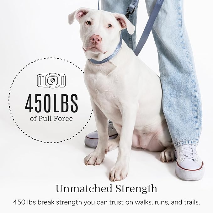 2026 New Edition, Fei & Eve MagEase Dog Collar - Patented Magnetic Buckles | Fur-Safe | Premium 210D Nylon | 450LB Escape-Proof | Adjustable Fit | Large (Dusk Blue)
