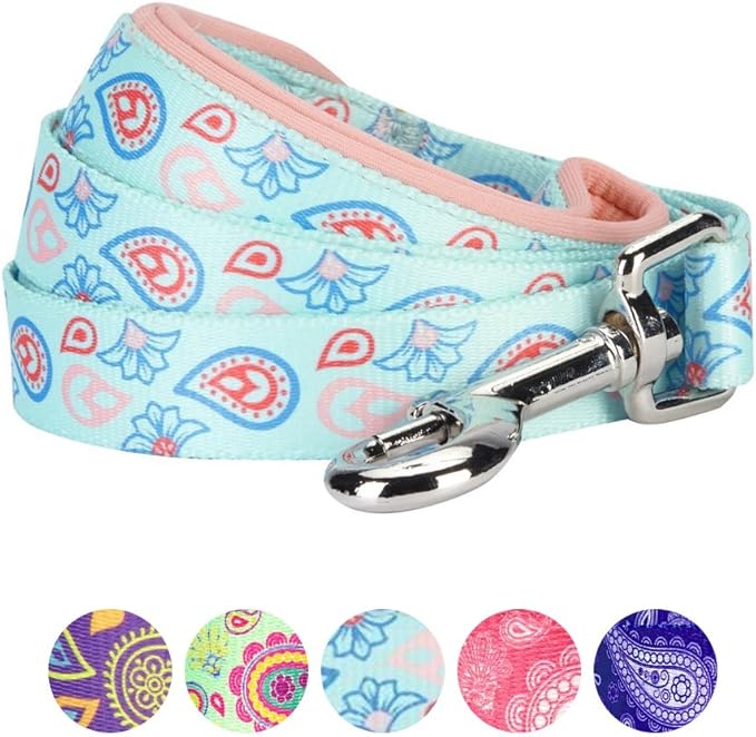 Blueberry Pet 5 Colors Paisley Flower Print Dog Leash with Soft & Comfortable Handle, 4 ft x 1", Pastel Blue, Large, Leashes for Dogs