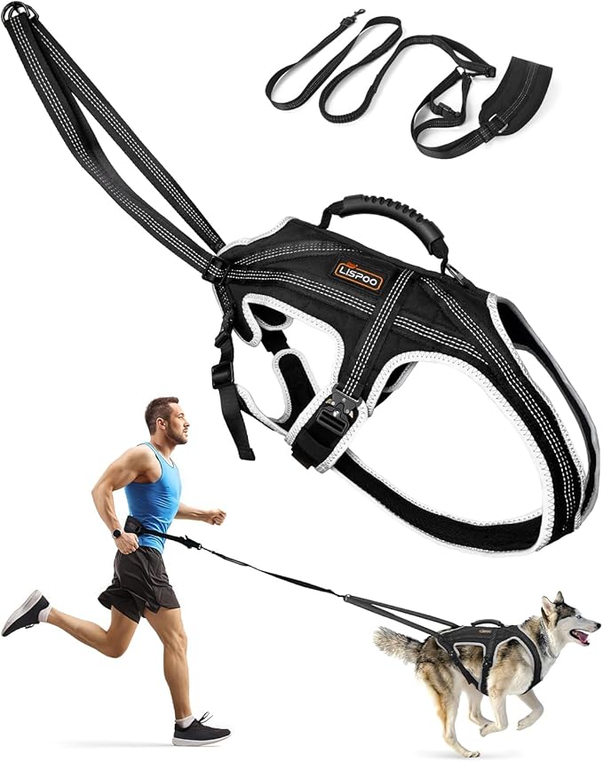 Dog Pulling Harness for Running, Skiing, Biking & Weight Pulling – Adjustable Sled Dog Harness with Leash & Waist Leash Attachment for Medium & Large Breeds (XL)