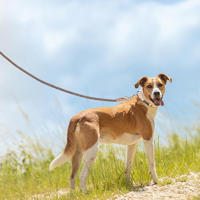 Mile High Life Rope Leash with Genuine Leather Connection, 6 FT/5 FT/4 FT, Heavy Duty Leash for Small Medium & Large Dogs(Brown,72 Inch)