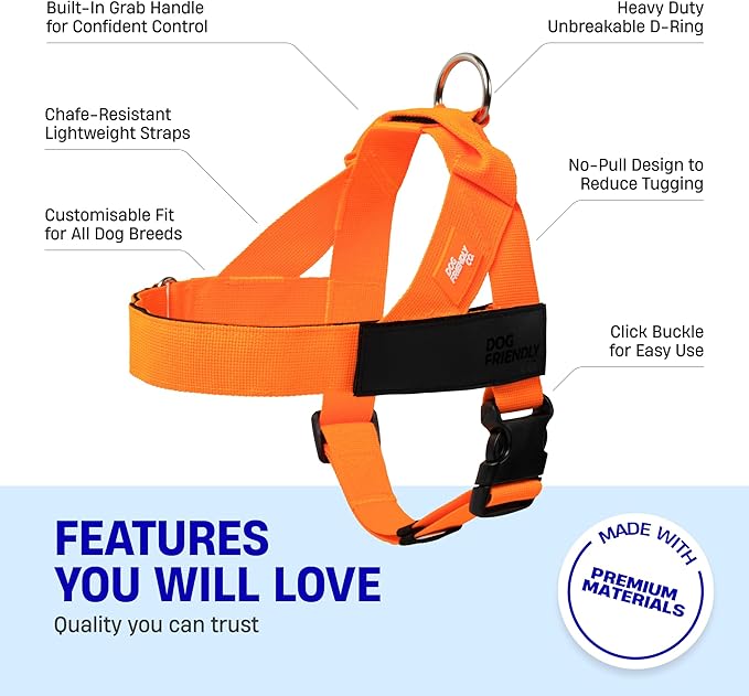 DF Co. Dog Harness | Chafe Resistant Webbing, Adjustable Neck & Chest, and Heavy Duty D-Ring | Sturdy, Comfortable, Easy to Use | Hi-Vis Orange, Size L