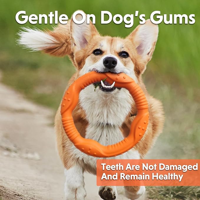 LaRoo Floatable Dog, Fetch Toy & Ring Tug Toy - Teething Relief, Catch, Water Fun, Pet Training Outdoor Durable Chew Toys for Small Medium Dogs (Orange)