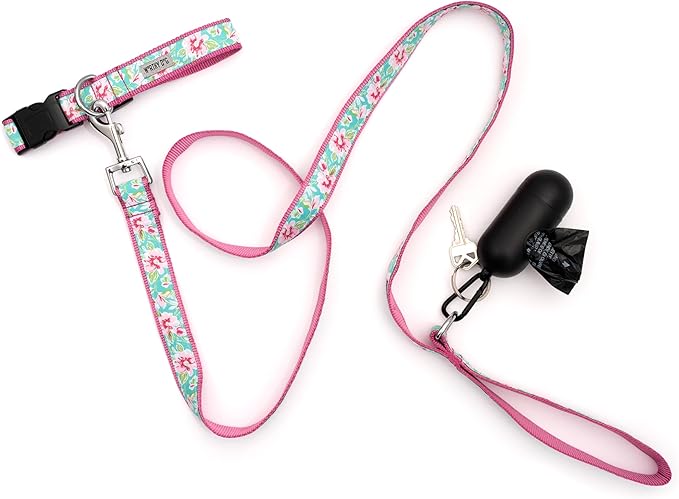 THE WORTHY DOG 5 FT Nylon Dog Leash for Medium to Large Dogs, Metal Quick Clip, Watercolor Floral Pattern, Teal, Large
