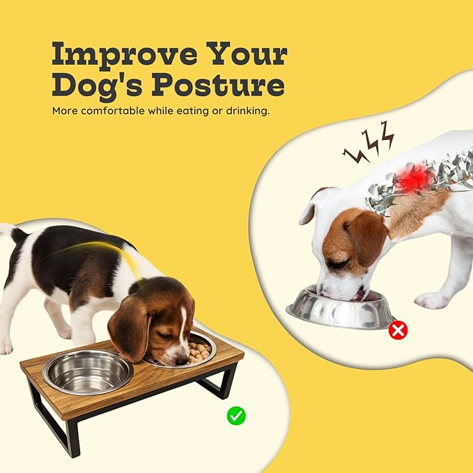 Elevated Dog Bowls, 4.5" Mango Raised Dog Bowl Iron Frame for Small-Med Dogs & Cats with 2 Pcs 32 oz Stainless Steel Pet Dishes, Food & Water 4Cup/0.95L Capacity Nonslip Feeding Station
