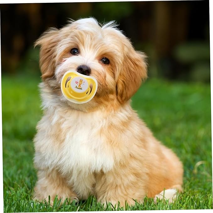 4Pcs Kitten Pacifier, Cute Safe Silicone Puppy Pacifier with Dust Cover, Soothing Companions Dog Chew Toys, Essential Teething Pet Supplies